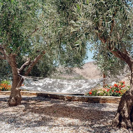 Maria's Place 5 Hostel *